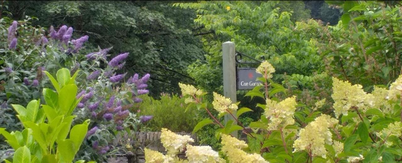 Cae Garw B&B Betws-y-Coed Exterior foto